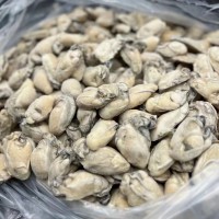 新鮮速凍生蠔海蠣子牡蠣當天現(xiàn)剝生蠔肉 海蠣子肉牡蠣肉去殼海鮮