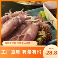 東山魷魚(yú)野生海兔電商酒樓可用400g凈重大量庫(kù)存可定規(guī)格一手廠(chǎng)家