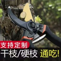 日本加厚SK5鋼樹枝剪刀強(qiáng)力剪粗枝園林剪外貿(mào)修剪果樹修枝 剪批發(fā)