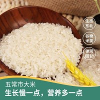 五常大米東北大米 大米真空包裝廠家批發(fā)