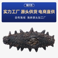 福興島大連淡干海參遼參遼刺參海參干貨海參工廠一手貨源