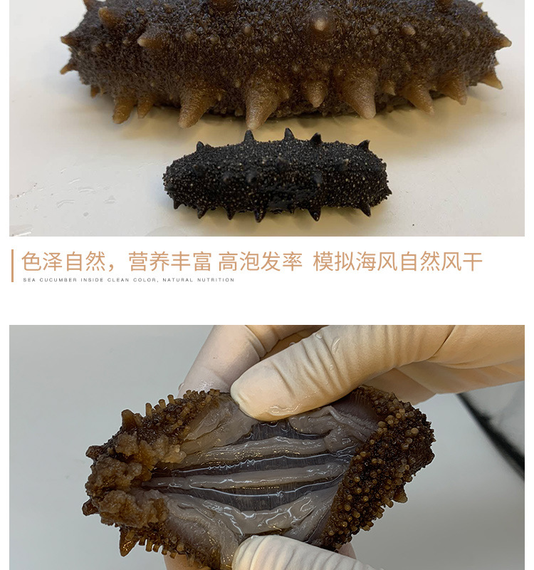 姚志強(qiáng)王靜靜+詳情套版5淡干海參鏈接3_16.jpg