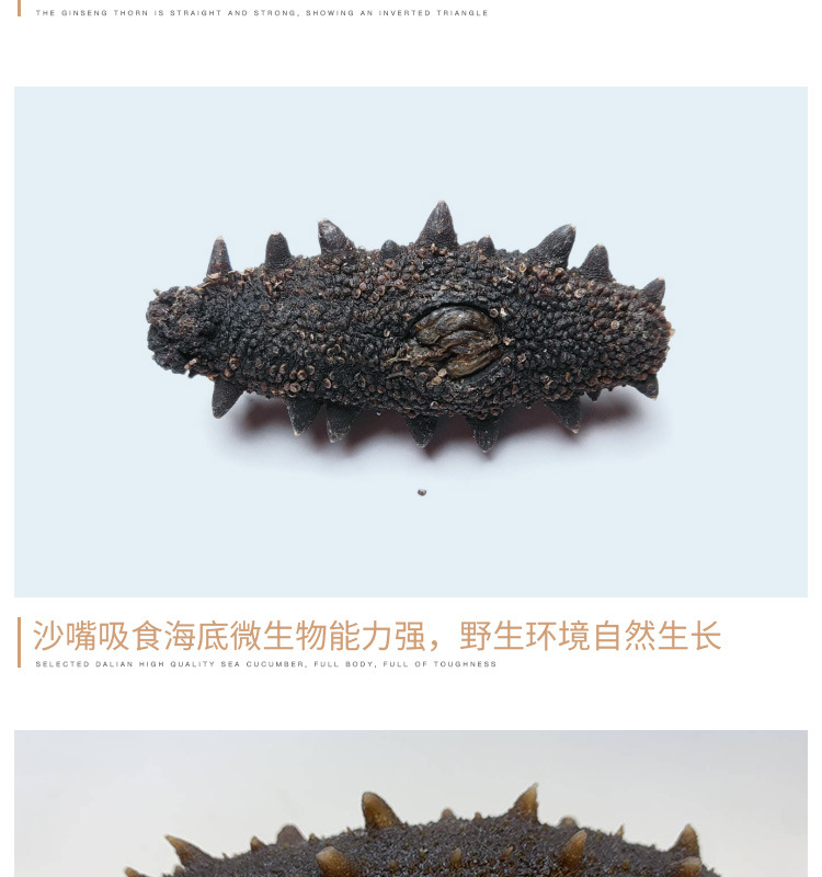姚志強(qiáng)王靜靜+詳情套版5淡干海參鏈接3_15.jpg