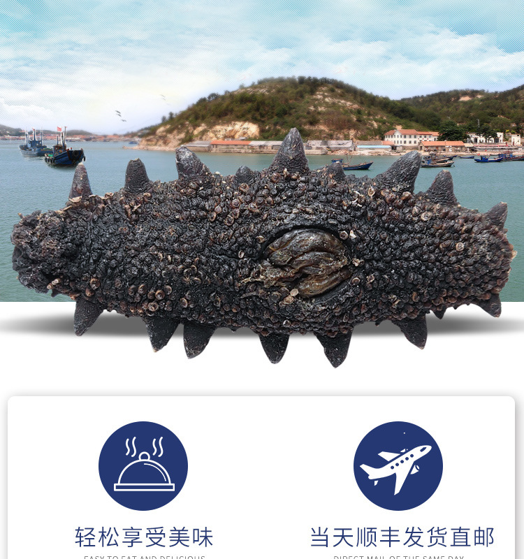 姚志強(qiáng)王靜靜+詳情套版5淡干海參鏈接3_10.jpg