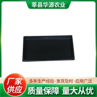 育苗穴盤廠家供應(yīng)托盤草莓瓜果林木培育種植幼苗加深加厚育苗盤