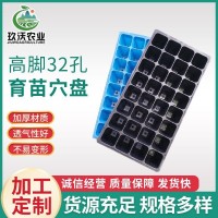 園林育苗用32孔高腳育苗盒溫室多肉苗用育苗穴盤 溫室用育苗穴盤