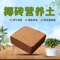 批發(fā)椰糠椰磚種植土 蘭花蔬菜種菜無土培基質(zhì)約5公斤營(yíng)養(yǎng)土椰土