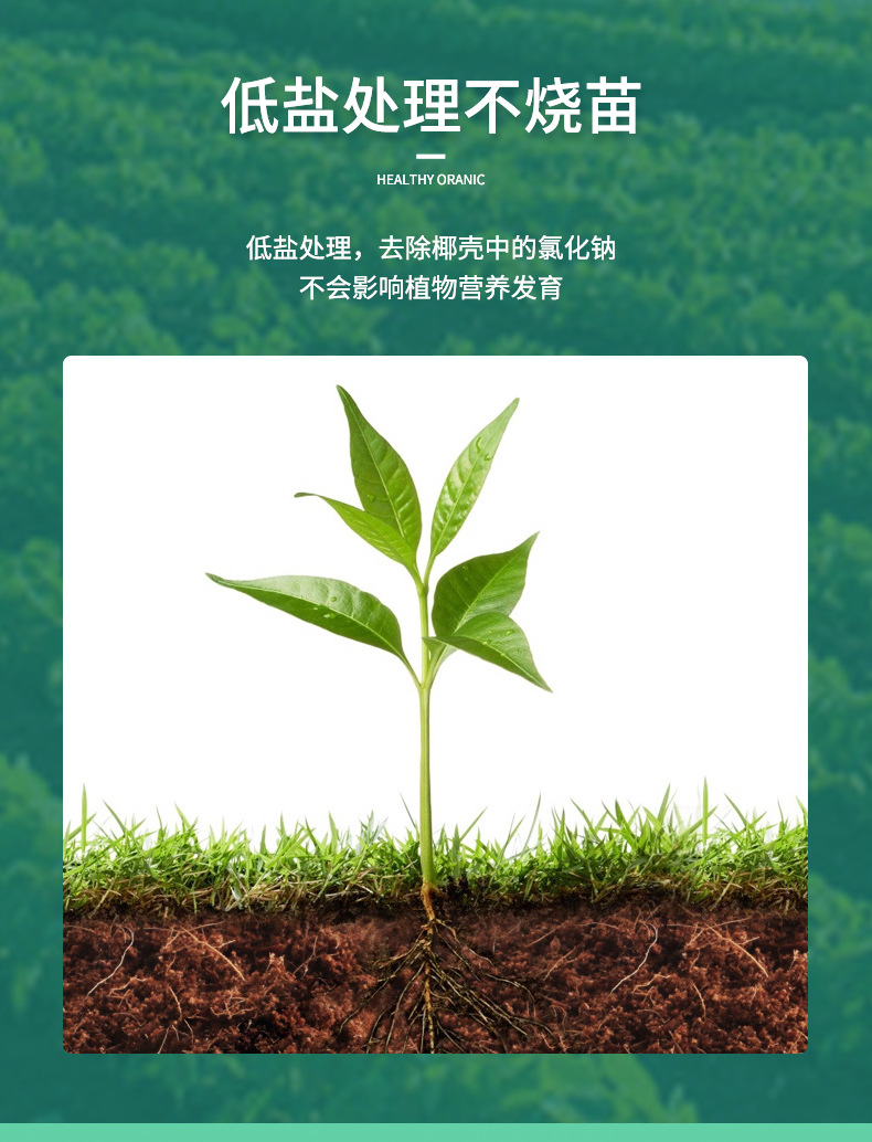 椰磚_07