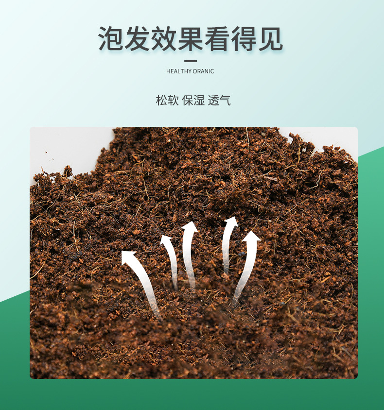 椰磚_06
