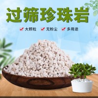 批發(fā)園藝大顆粒珍珠巖大包多肉基質(zhì)營(yíng)養(yǎng)土無土栽培種植苗圃珍珠巖