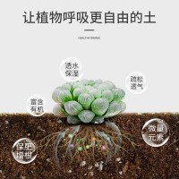 批發(fā)丹麥品氏托普泥炭土草炭土多肉營(yíng)養(yǎng)土栽培基質(zhì)花卉植物養(yǎng)料