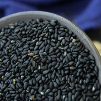 廠家供應熟 黑芝麻 五谷雜糧磨粉豆?jié){原料 低溫烘焙 熟黑芝麻