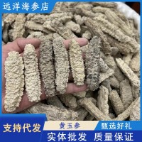 白黃玉參海參干貨黃肉海參酒店餐飲刺王參50頭