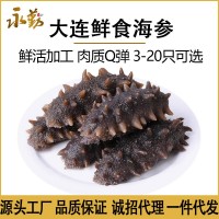 海參工廠鮮食即食海參大連遼參口感Q彈勁道泡發(fā)海參批發(fā)水產(chǎn)海參