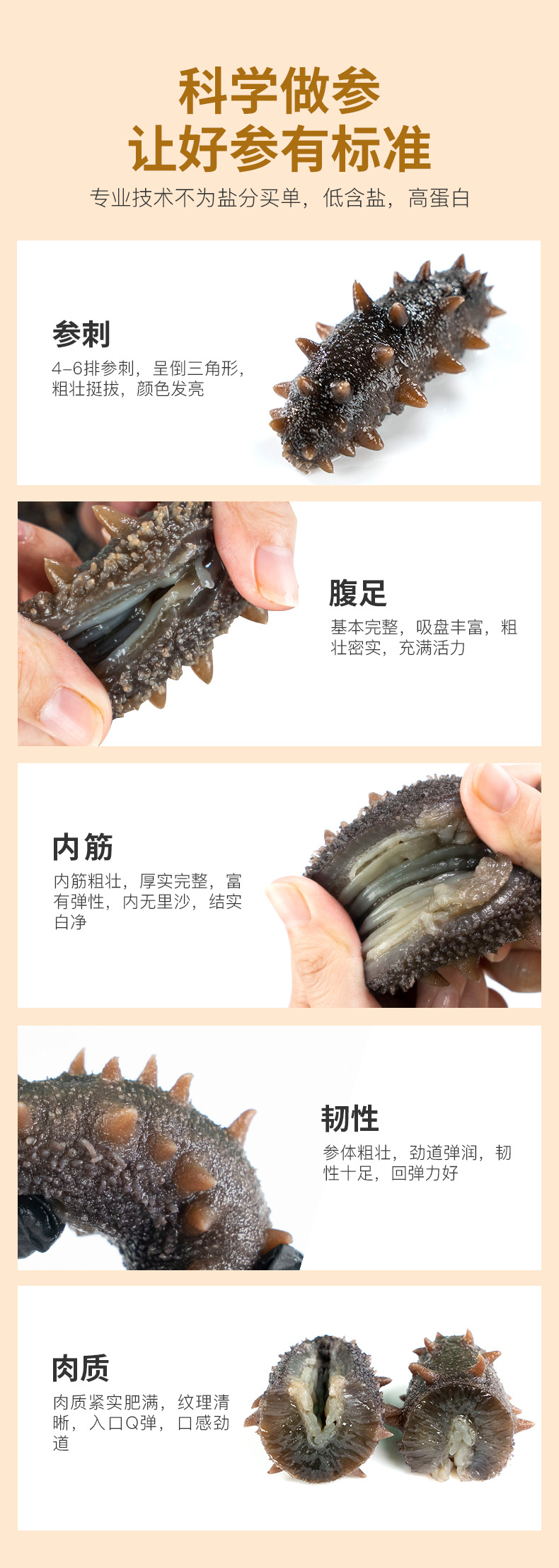 詳情_(kāi)11.jpg