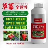 草莓專(zhuān)用藥葉面肥?；ū９麪I(yíng)養(yǎng)肥授粉坐果膨大增甜著色綠葉靚果