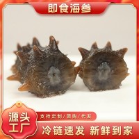 500g大個大連原產(chǎn)地真遼參開袋即食海參干貨冷鏈保鮮海鮮海參批發(fā)