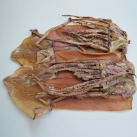 小魷魚(yú)干貨批發(fā) 淡干干魷魚(yú)舟山魷魚(yú)餐飲飯店酒店食材