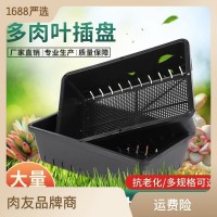 加密育苗葉插盤 底部開側(cè)孔更透氣 多肉植物小苗葉片專用 盆育苗盤