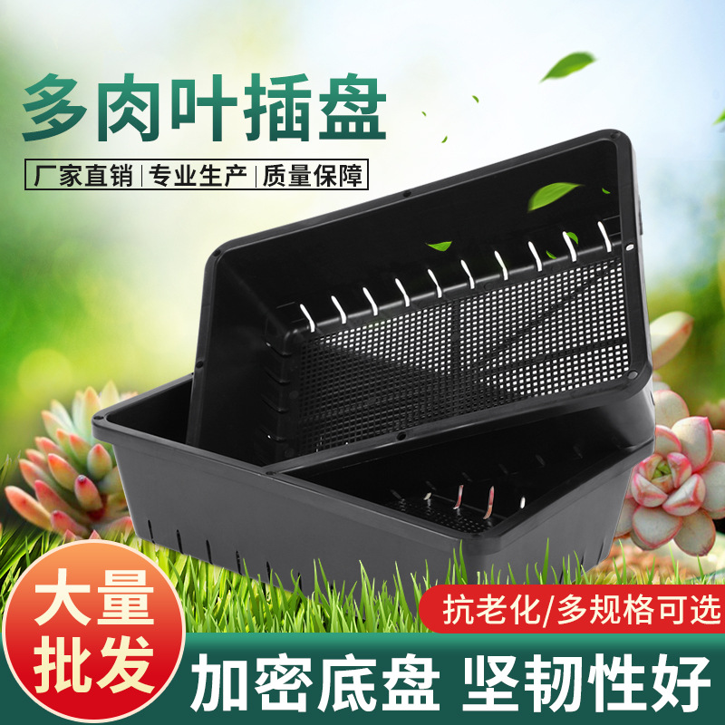 多肉葉插盤1.jpg