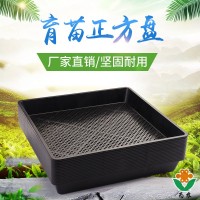廠家直銷育苗盤 田園方盤 芽苗菜瑪咖石斛多肉育苗盤塑料花盆托盤