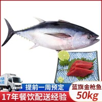 藍旗金槍魚50kg 整條新鮮刺身藍旗黃鰭深海魚斯里蘭卡金槍魚批發(fā)