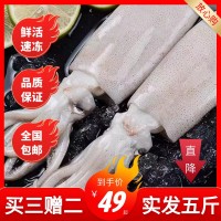 鮮活深海捕冷凍水產(chǎn)新鮮大魷魚(yú)尤魚(yú)整只燒烤批發(fā)水產(chǎn)非干貨燒烤