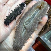 大連9年淡干海參干貨500g深海遼刺參海滲叁禮盒非即食可代發(fā)批發(fā)