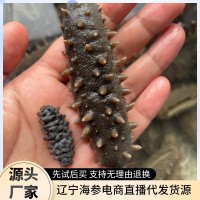 螺紋參深海淡干螺紋參黑刺海參 淡干足干海參干貨500克代發(fā)批發(fā)