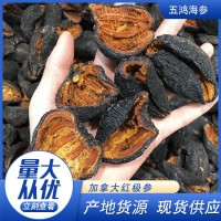 20-35頭加拿大紅極參 廠家直銷海參干貨紅極參參皮現(xiàn)貨批發(fā)干海參