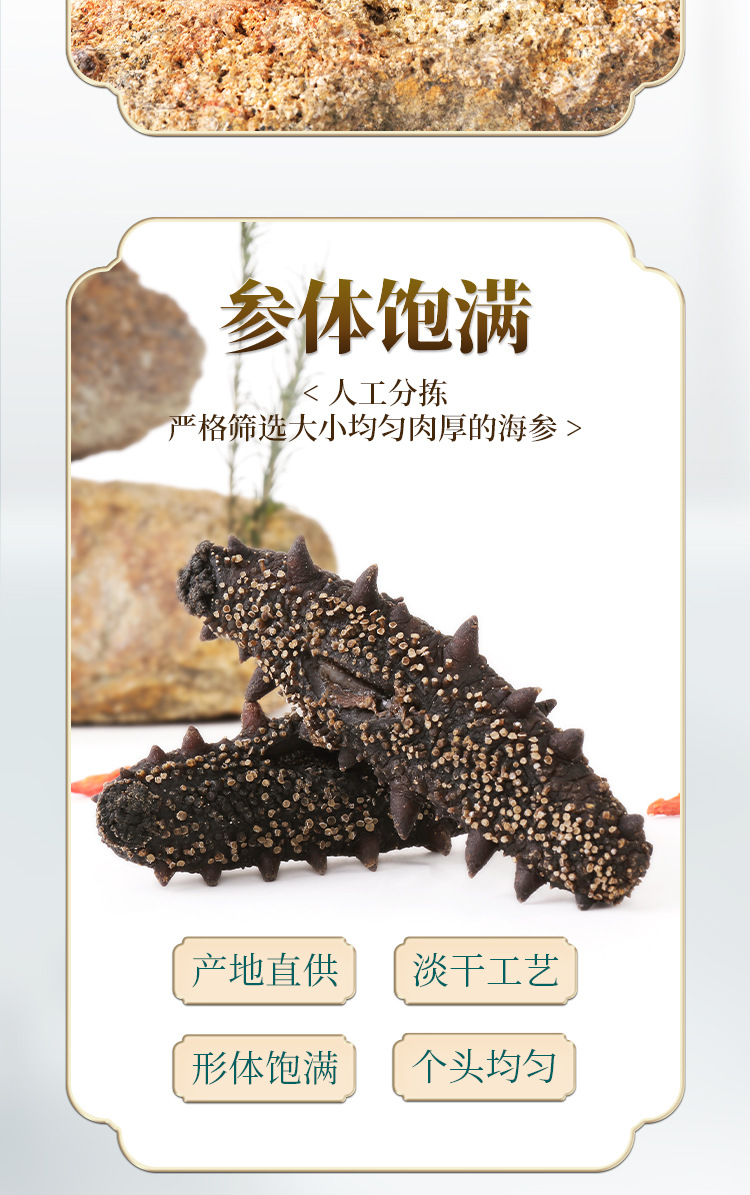 淡干海參_06.jpg