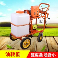 48-60v電動(dòng)打藥機(jī) 220V小型手推電動(dòng)農(nóng)用高壓打藥機(jī) 噴霧農(nóng)藥機(jī)