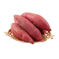 河南開(kāi)封沙地紅薯新鮮上市應(yīng)季番薯新鮮直達(dá)