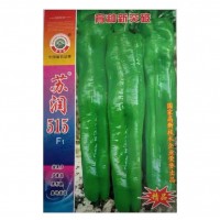 蘇潤515/潤美700辣椒種子早熟高產(chǎn)大果薄皮春秋大棚四季播新品種