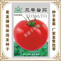 馮子龍種苗公司直售批零種植蔬菜種子3號番茄 種植 盆栽種植