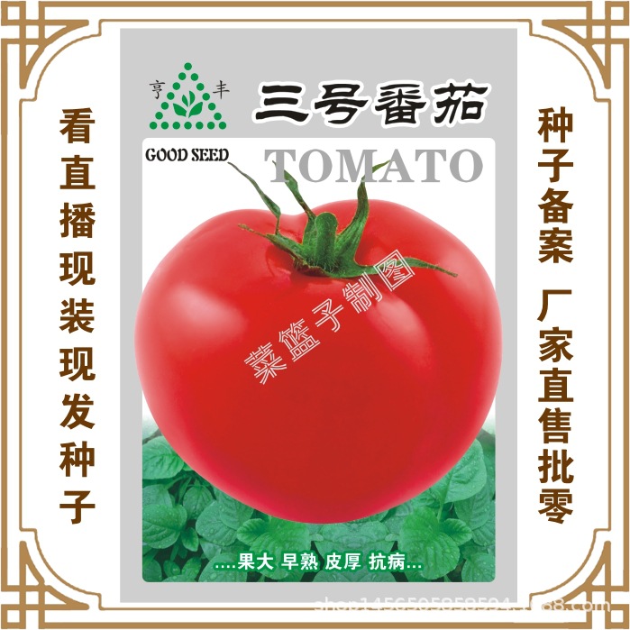 亨豐三號(hào)番茄.jpg