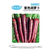紫色胡蘿卜種子紫胡蘿卜九寸參紅蘿卜夏秋季蔬菜種子庭院新手仲裁