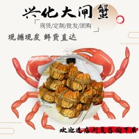 興化紅膏大閘蟹興化大閘蟹4.5兩全母蟹鮮活特大螃蟹河蟹禮盒批發(fā)