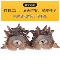 阜實(shí)商貿(mào)海鮮批發(fā)直播代發(fā)大連即食海參500g 海參刺參水產(chǎn)干貨工