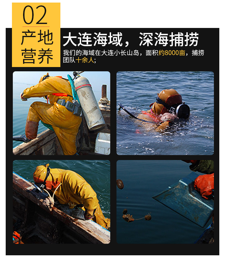 即食遼參_08.jpg