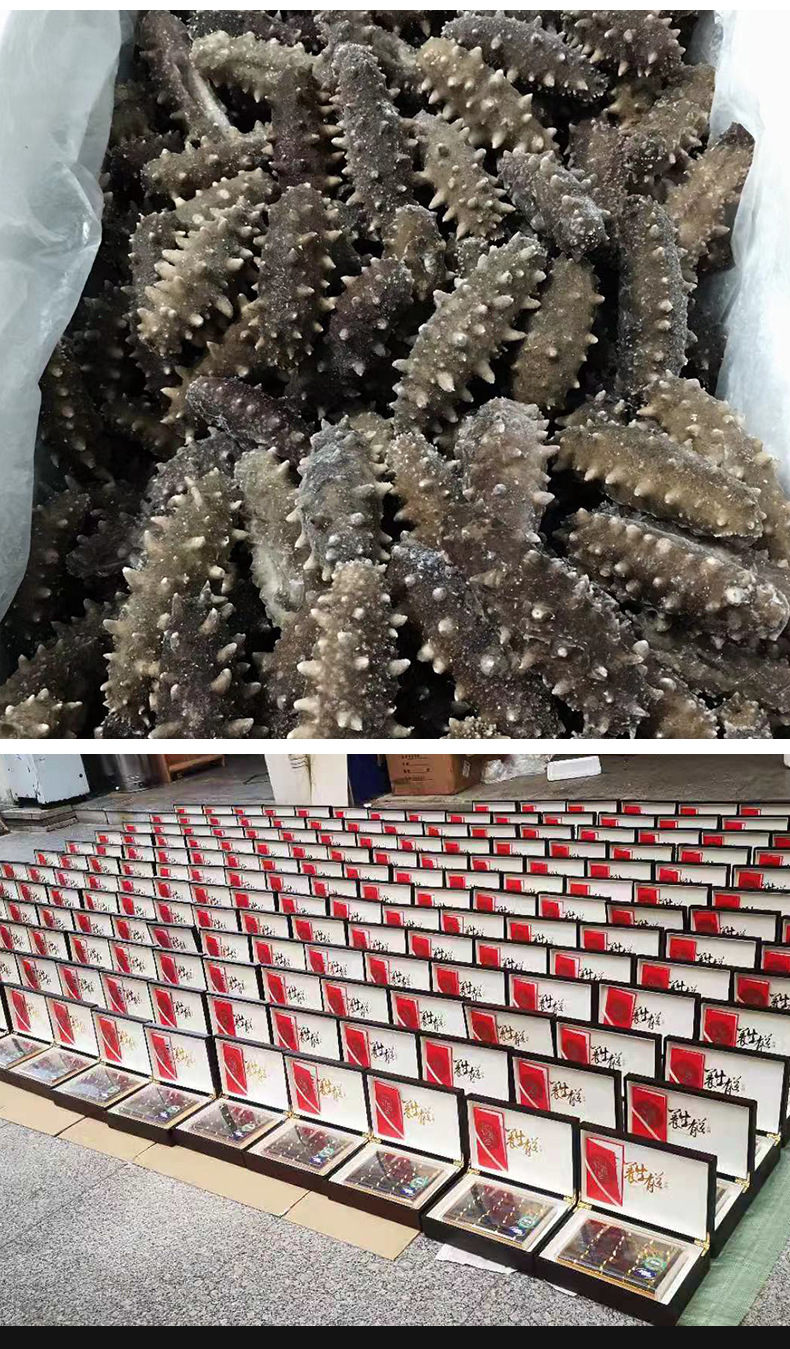 即食遼參_15.jpg