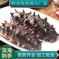 即食海參500g遼刺參即食海參鮮食海參開袋即食 海參源頭廠家批發(fā)