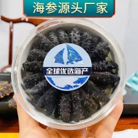 淡干小海參迷你淡干海參禮盒 速發(fā)海參肉質(zhì)Q彈非即食海參批發(fā)代發(fā)