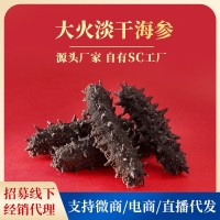 源品堂SC工廠一手貨源大火淡干海參 海參干貨批發(fā)非即食海參 50G