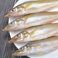沙丁魚新鮮煙臺海捕深海魚冷凍速凍冰鮮海鮮水產(chǎn)燒烤食材一件代發(fā)