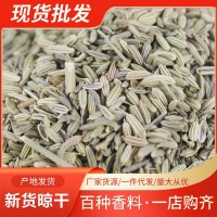 甘肅小茴香產(chǎn)地貨源茴香批發(fā)現(xiàn)貨調(diào)料佐料免費打粉