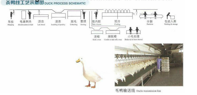 產品概述