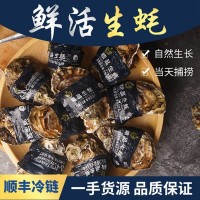 福建霞浦鮮活生蠔 鮮活25公斤帶殼牡蠣 海鮮水產(chǎn)海蠣順豐現(xiàn)裝直發(fā)