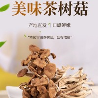 茶樹菇不開傘干貨樹菇燉湯爆炒菌菇福建古田茶樹菇家用袋裝茶樹菇