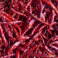 產(chǎn)地貨源邱北辣辣椒結(jié)500g全紅無籽全干紅油火鍋底料調(diào)味品批發(fā)